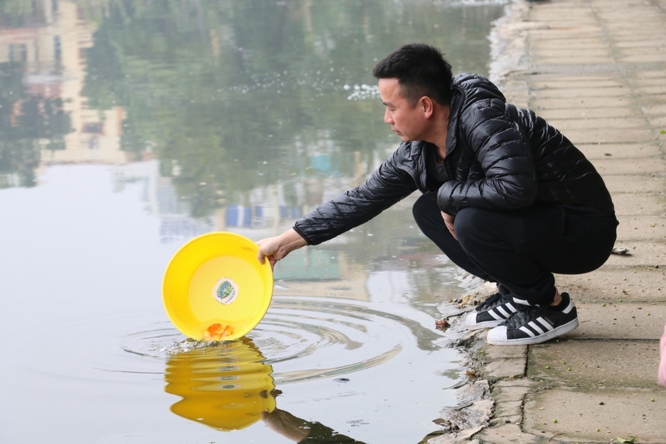 Người Hà Nội thả cá chép sớm tiễn Táo quân về trời - 2
Người Hà Nội đa số chọn mua cá chép đỏ để cúng lễ ông Công ông Táo. Theo quan niệm tâm linh, cá chép là phương tiện đưa Táo quân về trời.