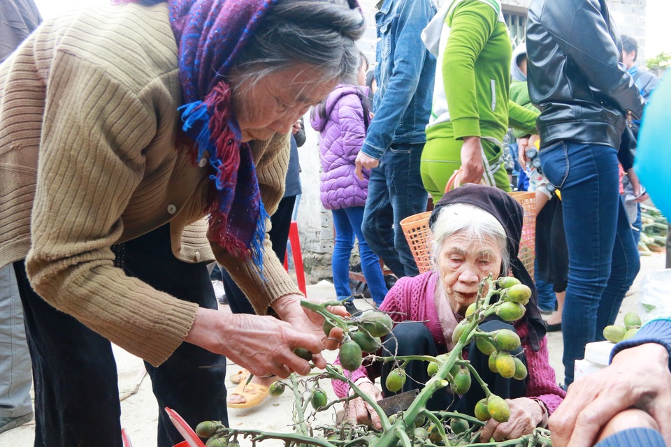 26 Tết đi chợ Thiều "mua may bán rủi" - 5
Thanh niên đến chợ du xuân, mua hoa tươi chơi Tết, những người chủ gia đình mua nhu yếu phẩm còn những cụ già thì lại tìm mua trầu cau để dự trữ ăn trong ngày Tết.