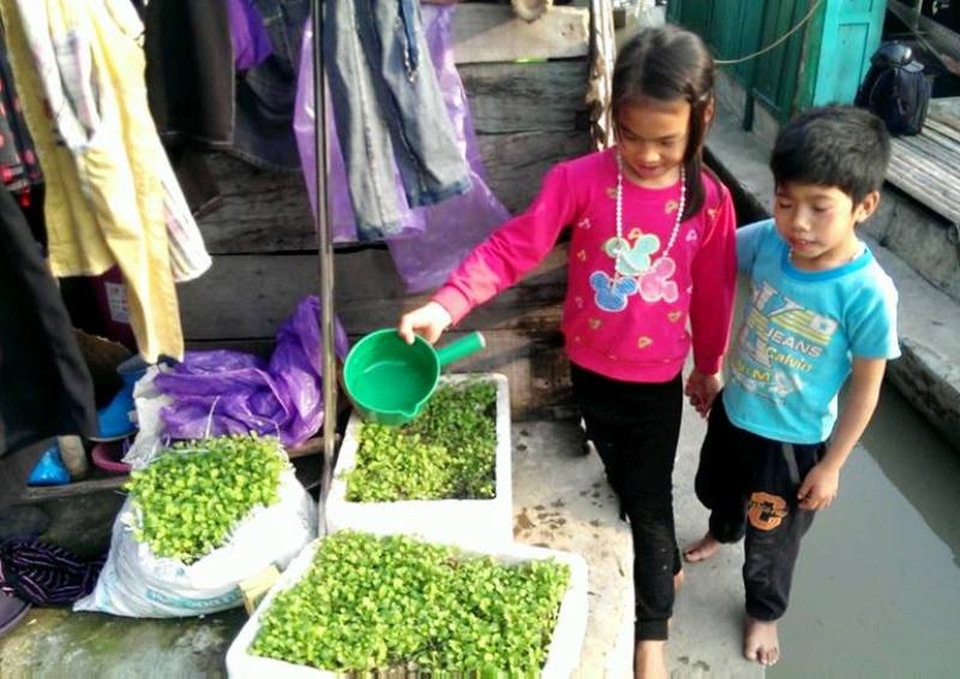 Các cháu nhỏ giúp bố mẹ tưới rau
