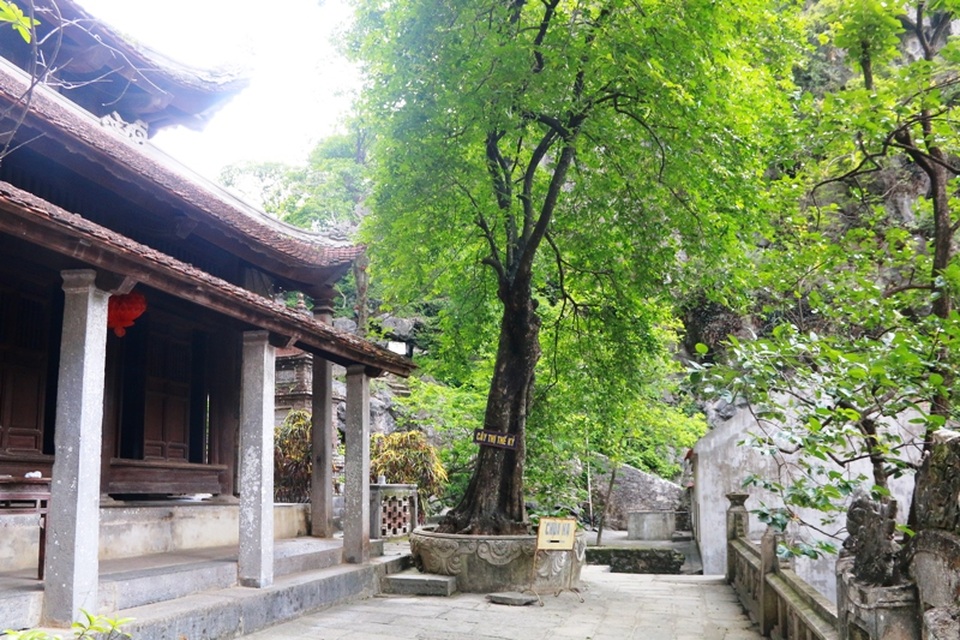 Các cột đá ở chùa Hạ đều bằng đá liền một khối, không chắp nối, cao hơn 4m. Mái chùa cong hình lưỡi đao lợp ngói âm dương. Xung quanh ngôi chùa này có nhiều cây cổ thụ tỏa bóng mát, trường tồn với thời gian.