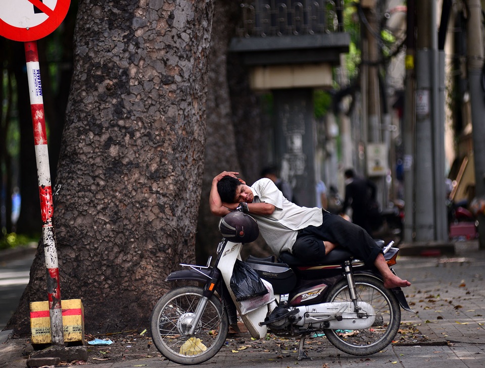 Ngắm hàng cây cổ thụ trăm tuổi sắp bị đốn hạ ở Sài Gòn - 6
Từ lâu, hàng cổ thụ trên đường Tôn Đức Thắng trở thành hình ảnh quen thuộc với người Sài Gòn. Bác xe ôm ngủ trưa dưới gốc cây.