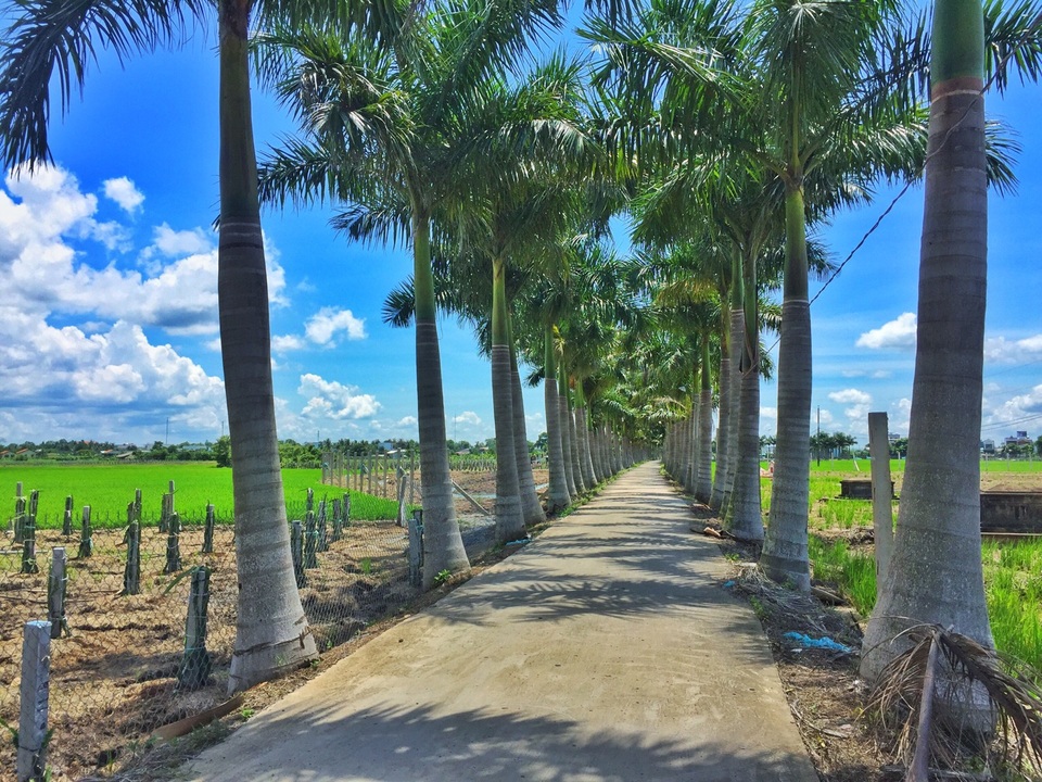 Lạc bước trên “con đường hạnh phúc” đẹp mê mẩn ở Long An - 5 Tuyến đường được ví là dải lụa xanh của miền Tây