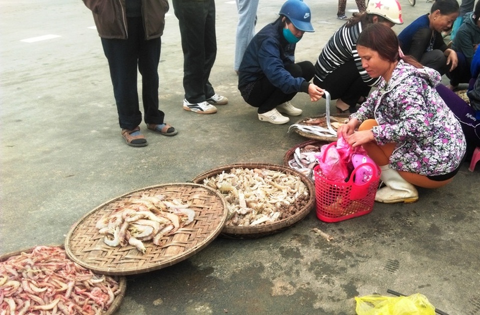 Trúng lớn mùa cá khoai đầu năm, ngư dân “hái” bạc triệu mỗi ngày - 6 Ngoài cá khoai, tôm he và bề bề cũng được nhiều người tìm mua