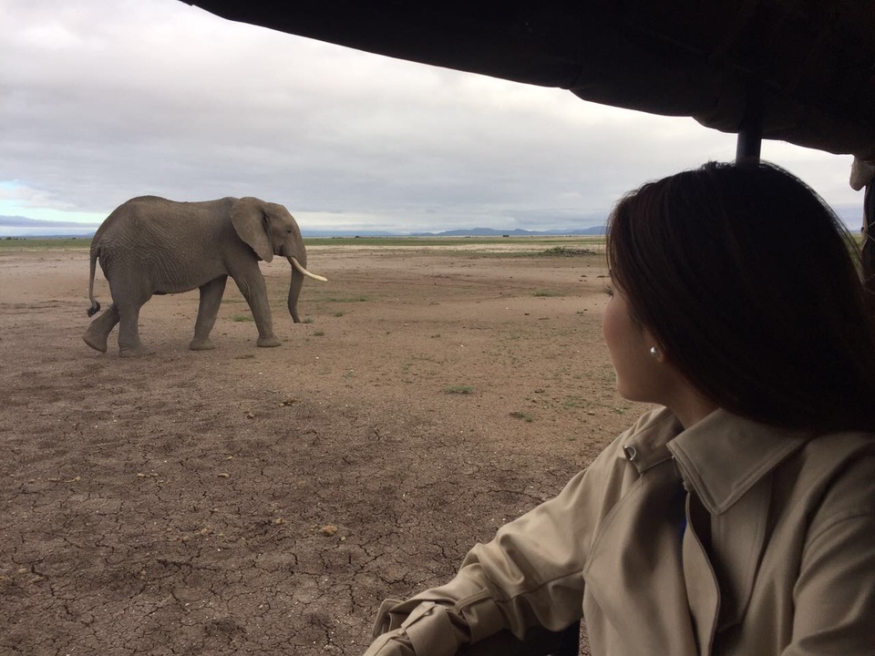 Phạm Hương trải nghiệm trên xe tham gia khu rừng của các loài động vật hoang dã từ sáng sớm.