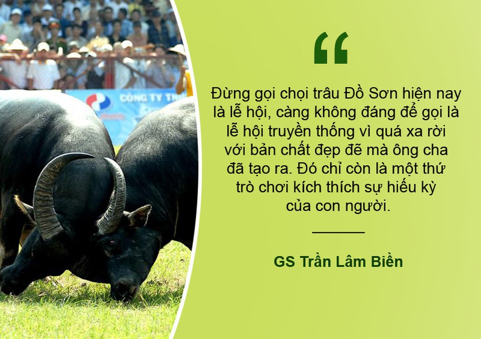 Tranh cãi xung quanh việc nên giữ hay bỏ lễ hội chọi trâu Đồ Sơn - 1 Xem thêm: Chọi trâu Đồ Sơn chỉ là trò chơi kích thích sự hiếu kỳ của con người?