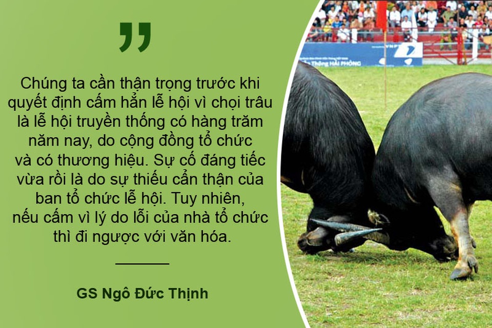 Tranh cãi xung quanh việc nên giữ hay bỏ lễ hội chọi trâu Đồ Sơn - 2 Xem thêm: Chọi trâu Đồ Sơn chỉ là trò chơi kích thích sự hiếu kỳ của con người?