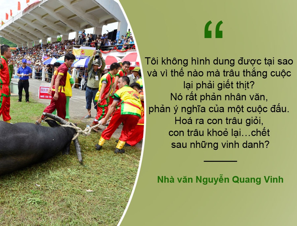 Tranh cãi xung quanh việc nên giữ hay bỏ lễ hội chọi trâu Đồ Sơn - 3 Xem thêm: “Giải thích trâu húc người vì tiếng hò hét là không thuyết phục”