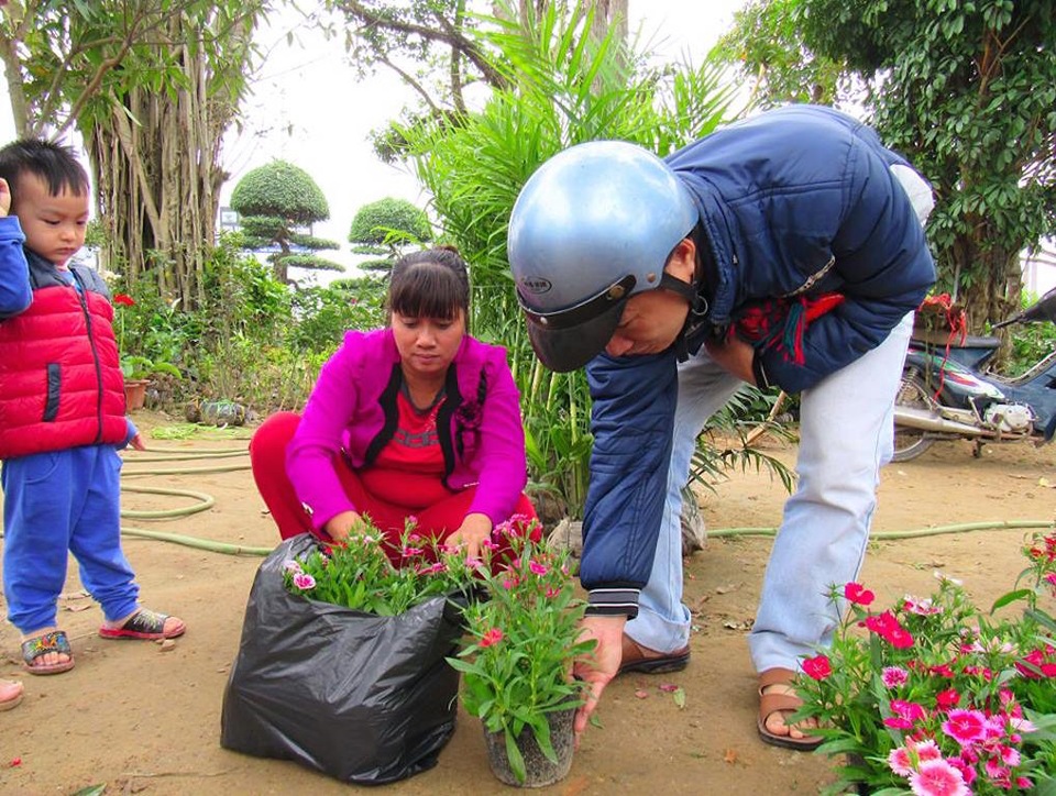 Hoa Tết bung nở khắp nhà vườn xứ Nghệ - 11 Khách hàng có mặt tại vườn hoa của các hộ gia đình để lựa chọn, đặt và mua hoa