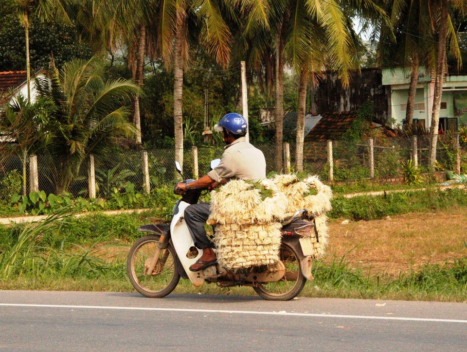 Kiệu tăng giá gấp đôi, nông dân vớt vát kiếm tiền tiêu Tết - 5 Người dân tất bật chở kiệu đến các điểm tập kết bán kiếm chút đỉnh tiền sắm Tết