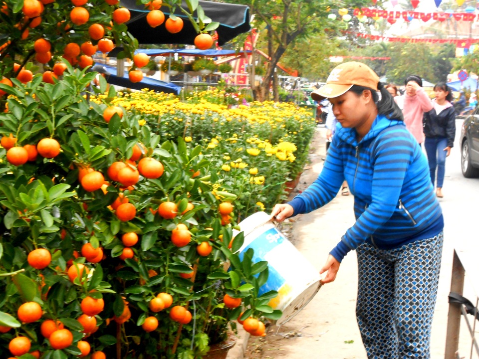 
Chăm chút để hoa thêm tươi sắc phục vụ khách hàng
