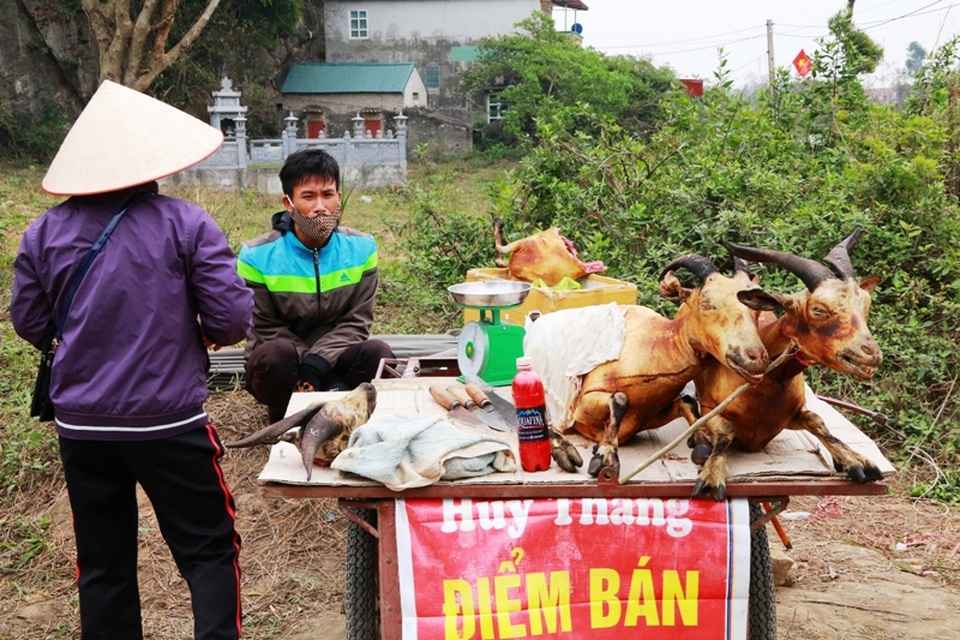 Ninh Bình: Kiếm tiền triệu trong ngày nhờ bán thịt dê - 7 Để hút khách, những điểm bán dê thường trưng những tấm biển quảng cáo như thịt dê tươi sống, trên bàn là những con dê thui vàng còn nguyên nằm la liệt. Nghề mổ dê bán thịt này cũng đã đem lại thu nhập cao cho nhiều hộ dân địa phương. Có hộ sau mỗi mùa kiếm được hàng chục triệu đồng.