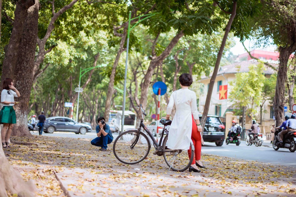 Vẻ đẹp thanh bình của mùa cây thay lá khiến nhiều người ví von đây là mùa thu thứ 2 của Hà Nội.