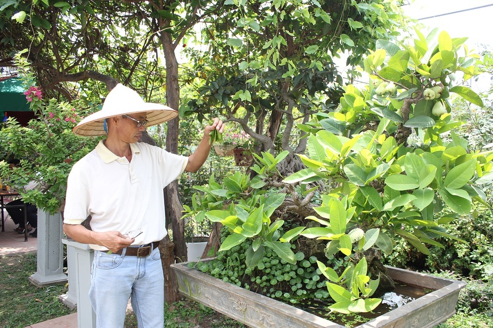 Mê mẩn những kiệt tác bonsai "độc nhất vô nhị" ở Hà Nội - 10 Tác phẩm cây doi của nghệ nhân Đào Mạnh Hùng (Hà Nội). Cây có tuổi đời hơn 50 năm, thân cây cổ kính, gốc sần sùi. Toàn thân có những nhánh nhỏ bao bọc, trên ngọn từng chùm quả tỏa hương thơm ngát tạo dáng vẻ độc đáo, hiếm có cho cây.