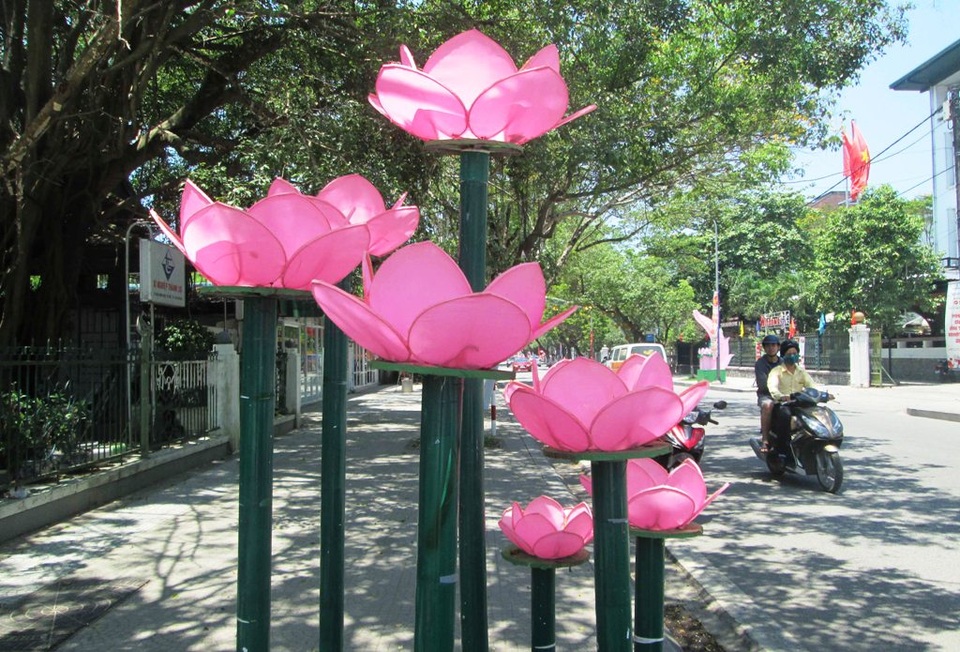 Huế rực rỡ sắc màu chào đón mùa Phật đản - 7 Hoa sen được đặt trên các con đường của TP Huế