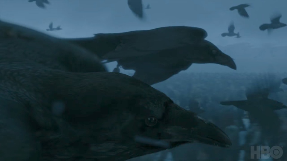 Một đàn quạ đen bay trên bầu trời phương Bắc. Cần phải nhớ rằng mỗi khi Bóng Trắng chuẩn bị xuất hiện, thường có một đàn quạ xuất hiện trước báo hiệu.