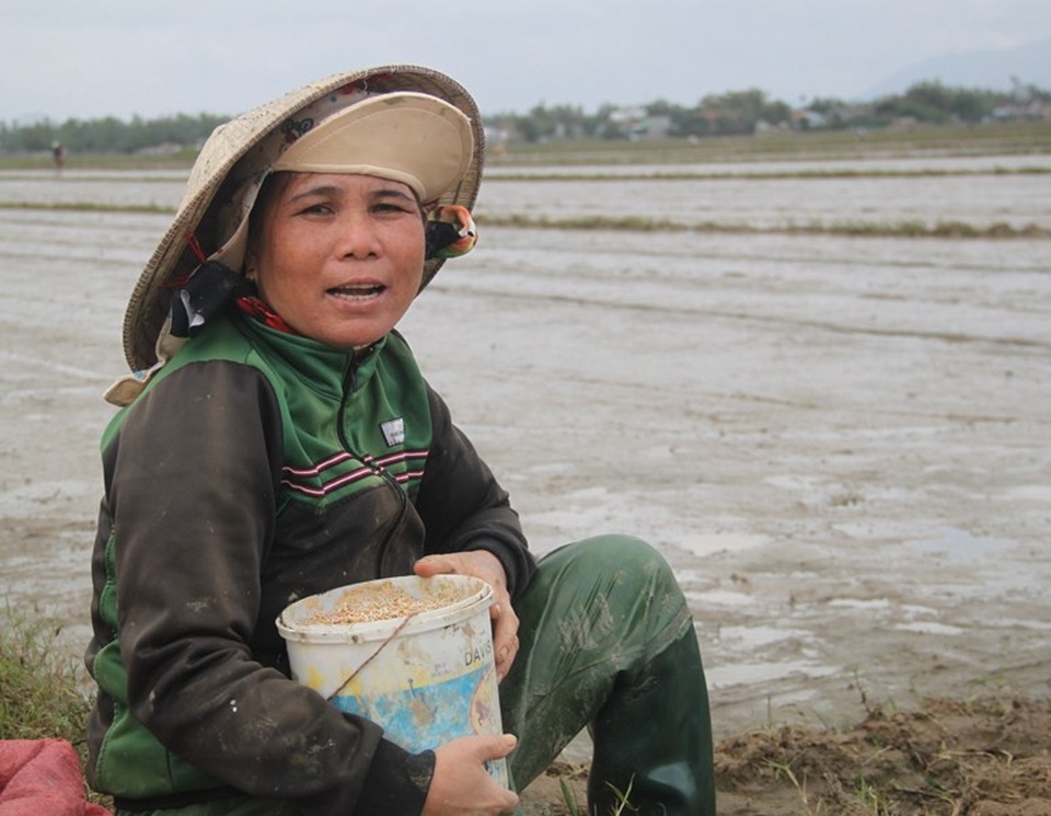 Hàng chục hecta lúa mới gieo sạ bị thối vì ngập lụt - 8
Người dân vùng rốn lũ huyện Tuy Phước (Bình Định) khốn khổ vì liên tục hứng chịu các đợt lũ lụt