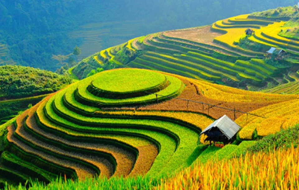 Khám phá 7 cái nhất của du lịch Việt Nam - 7 Những thửa ruộng bậc thang tạo nên khung cảnh hùng vĩ và tráng lệ. (Ảnh: dttravel)