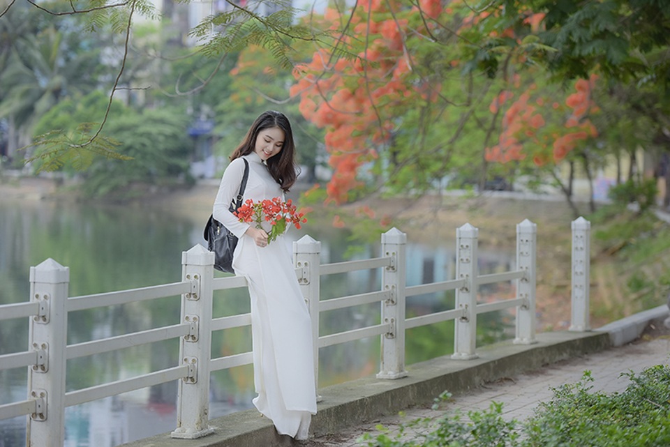 Nữ sinh tuổi 16 lãng mạn bên chùm hoa phượng đỏ - 13 Nữ sinh tuổi 16 lãng mạn bên chùm hoa phượng đỏ - 13