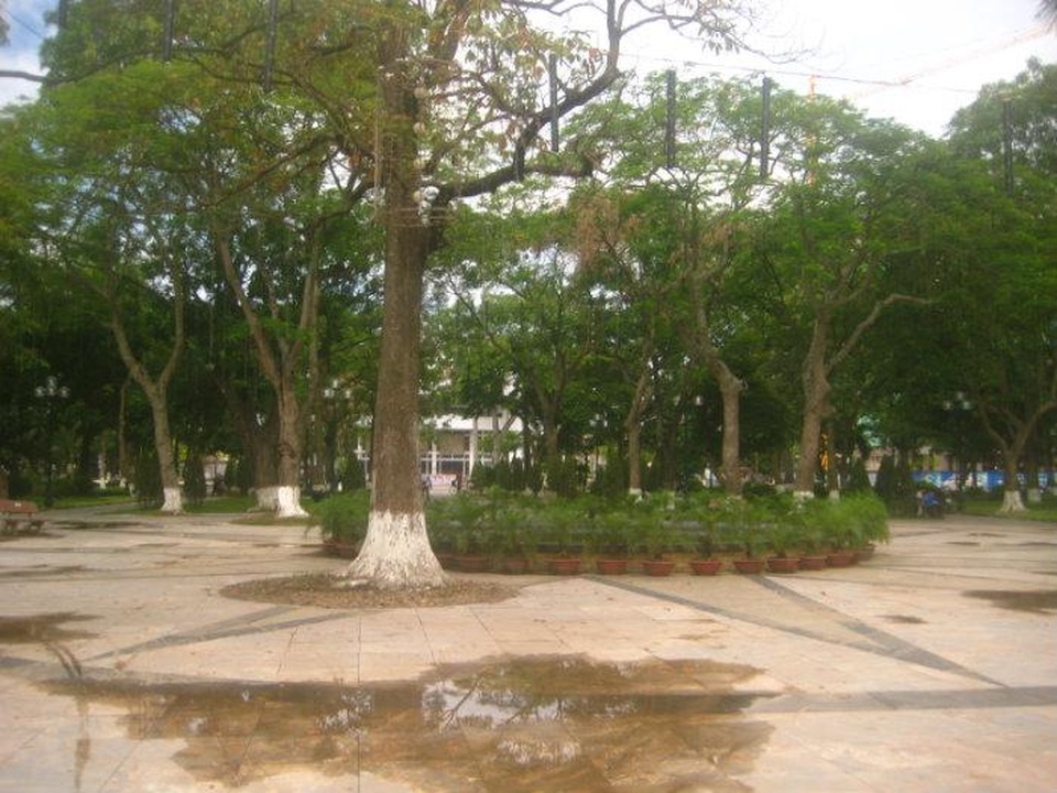 Vườn hoa thành phố Thái Bình trước đây khi chưa di dời hơn 200 cây xanh lâu năm (ảnh: Wikimapia.com)