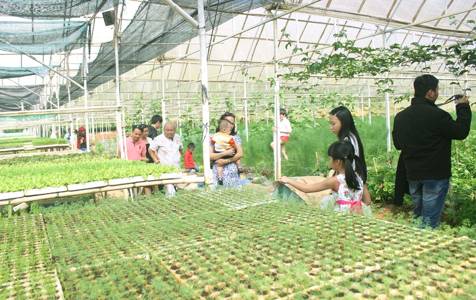 Đà Lạt “hút” khách dịp Tết dương lịch 2017 - 7 Một số du khách đã tìm đến các khu du lịch nhà vườn Đà Lạt để tham quan và trải nghiệm