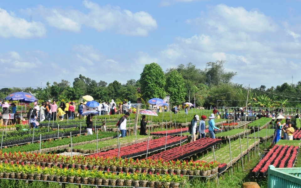 Tại các vườn hoa, dù chưa phải là thời điểm hoa bung nở rực rỡ nhất nhưng vẫn đông nghịt du khách