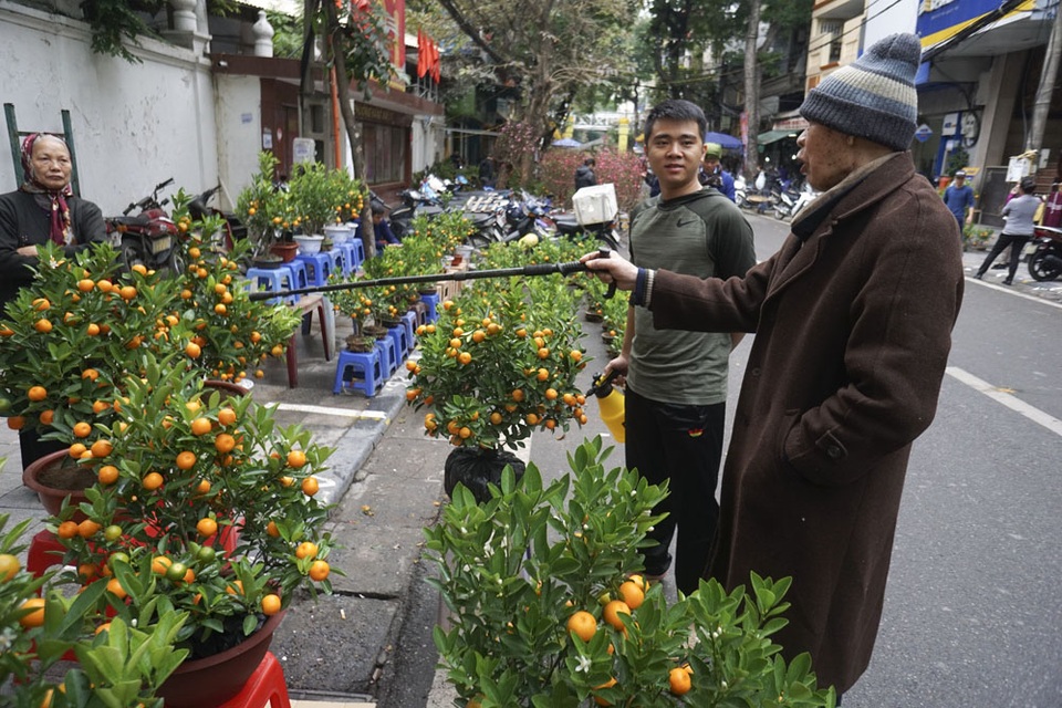 Chợ hoa lâu đời nhất Hà Nội ngày cận Tết - 9
Một cụ già đang chọn quất và nói chuyện vui vẻ với chủ hàng.