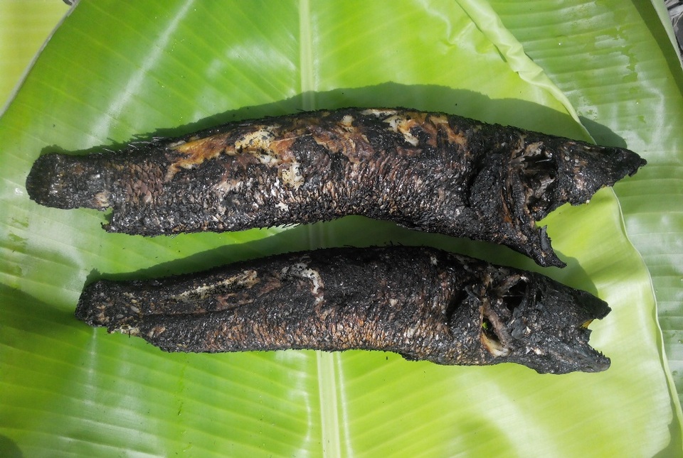 Về miền Tây đừng quên thưởng thức cá lóc đồng nướng rơm - 6 Cá lóc nướng rơm... thịt cá rất thơm