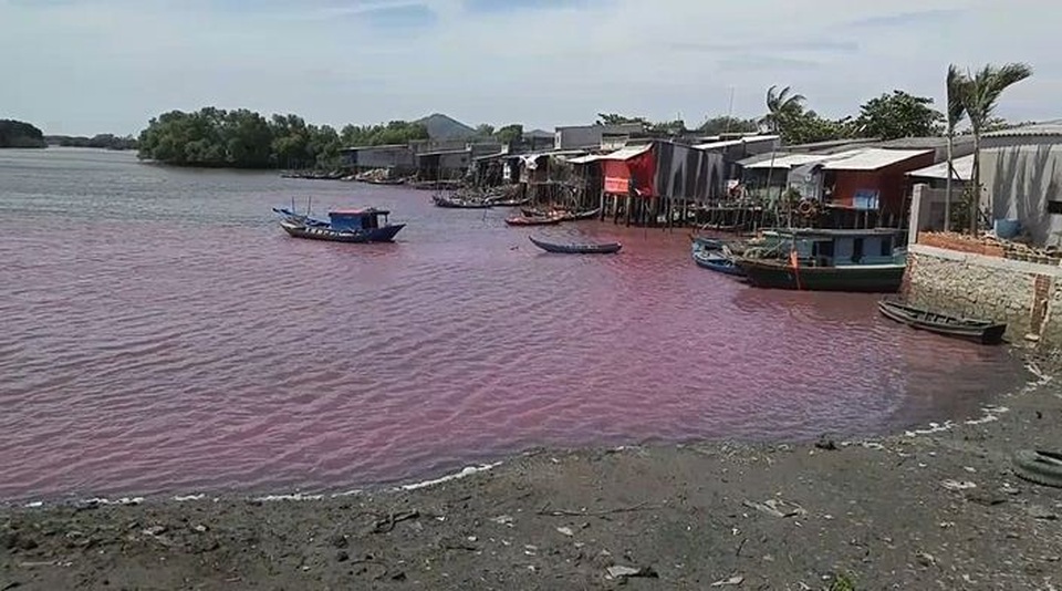 Nước trong hồ lớn bất ngờ đổi thành... màu hồng - 4 Hàng trăm hộ dân quanh hồ đã chịu cảnh ô nhiễm, hôi thối nhiều năm nay