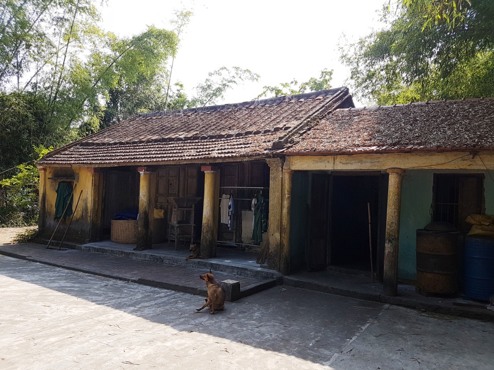 Chiêm ngưỡng “cụ” sưa 250 năm tuổi, gốc to hơn 10m - 8 Cây sưa trong khu vườn rộng khoảng 2.000m2 và ngôi nhà cổ của chủ nhân