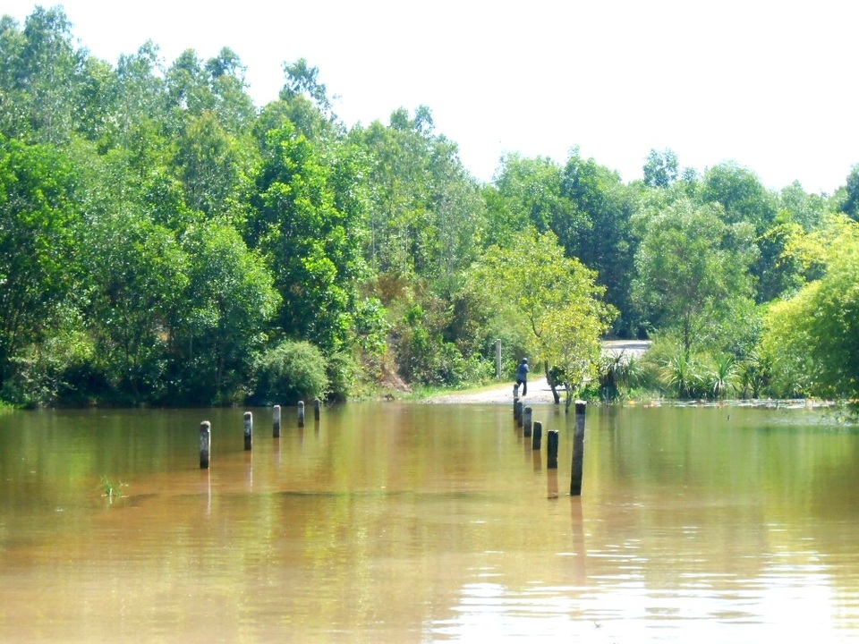 Một số đoạn đường có nước tràn qua bờ, đi ngang nơi đây du khách có thể nhìn thấy những chú cá nhỏ tung tăng bơi lội dưới chân mình