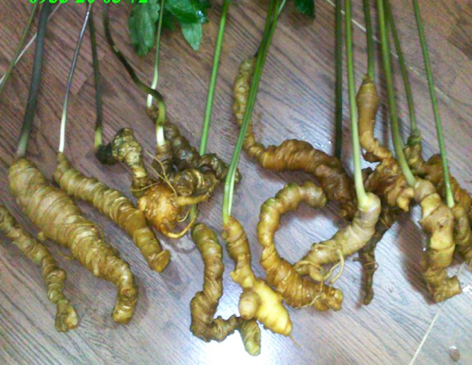 Top 10 đặc sản quà tặng nổi tiếng Việt Nam - 8 Top 10 đặc sản quà tặng nổi tiếng Việt Nam - 8