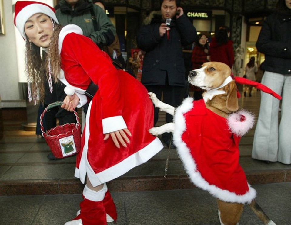 Những “bà già” Noel siêu trẻ trung và nóng bỏng - 8 Những “bà già” Noel siêu trẻ trung và nóng bỏng - 8