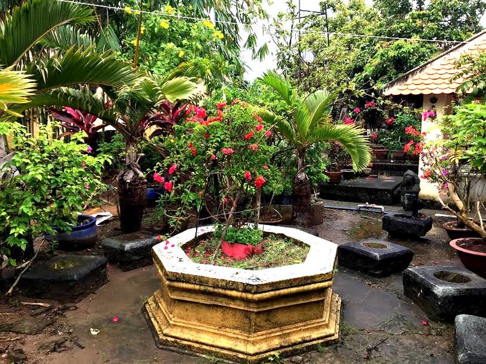 Về thăm ngôi nhà cổ đẹp nhất xứ Tây Đô - 15 Khu vực sân vườn phủ đầy cây cảnh và cây ăn trái