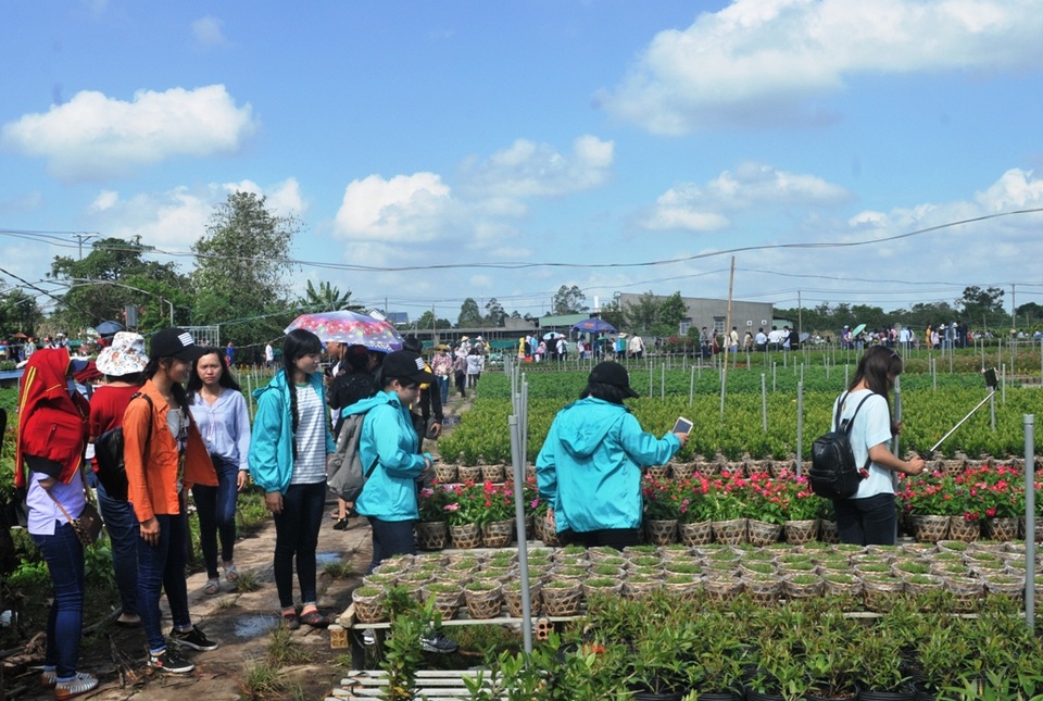 Đông nghịt du khách đổ về, đường hoa kẹt cứng - 10