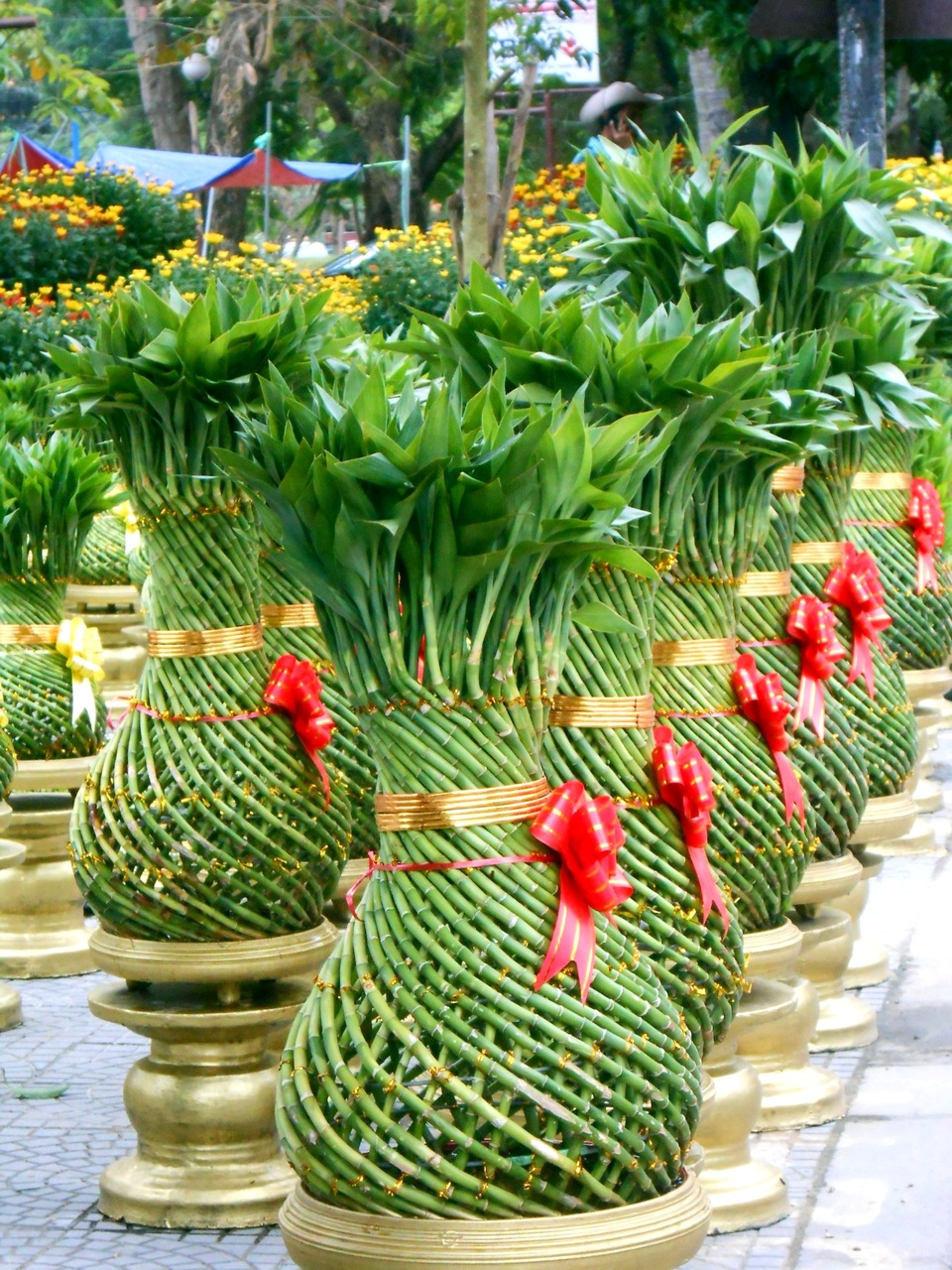 Rực rỡ sắc Xuân trên phố cổ Hội An - 9