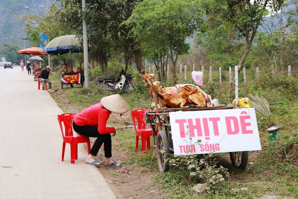 Ninh Bình: Kiếm tiền triệu trong ngày nhờ bán thịt dê - 9
Ngoài dê giết thịt để nguyên con, đồ nghề của những người bán thịt dê chỉ đơn giản là chiếc xe kéo vẫn sử dụng thường ngày đi làm đồng, vài ba chiếc ghế nhựa, chiếc ô che nắng mưa và biển quảng cáo đơn giản. Không phải thực khách nào cũng ghé mua thịt dê bán ven đường như thế này, nhiều người thấy cảnh này còn không khỏi ái ngại bởi các điểm bán thịt dê ven đường như thế này luôn tiềm ẩn nguy cơ mất vệ sinh an toàn thực phẩm cao.