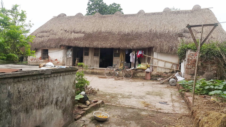 Độc đáo những ngôi nhà mái cói còn lại hiếm hoi ở Ninh Bình - 9 Xen lẫn những ngôi nhà cao tầng khang trang, nhà mái ngói đỏ chót hay mái tôn kiên cố, những ngôi nhà mái cói vẫn tồn tại một cách mộc mạc, đơn sơ giữa đời sống hiện đại. Những ngôi nhà này gợi nhớ cho bao nhiều về ký ức xa xưa ở vùng đất bãi bồi ven biển Kim Sơn.