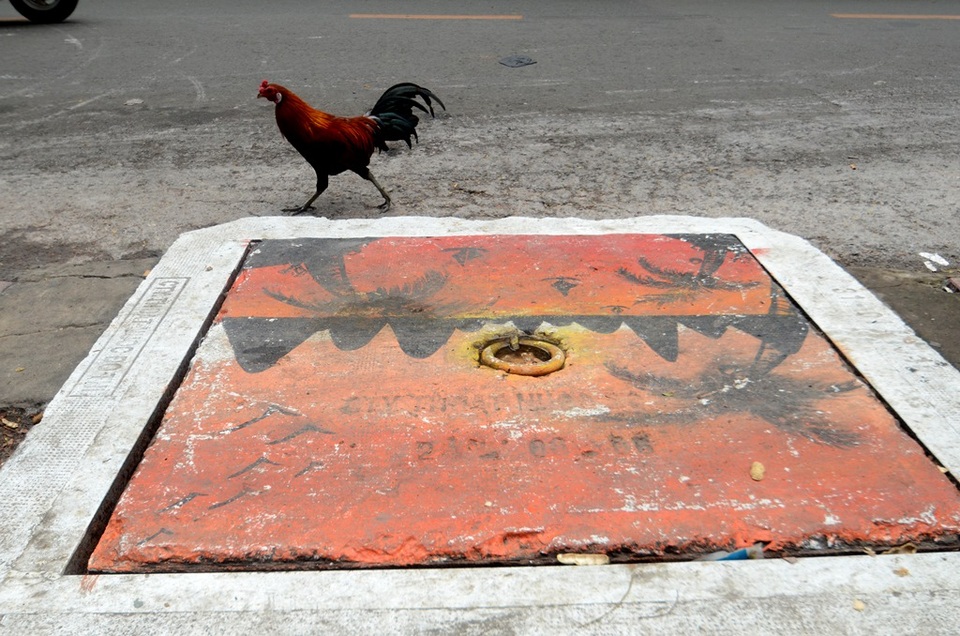 Dường như con vật cũng bị thu hút bởi những chiếc nắp cống sặc sỡ này.