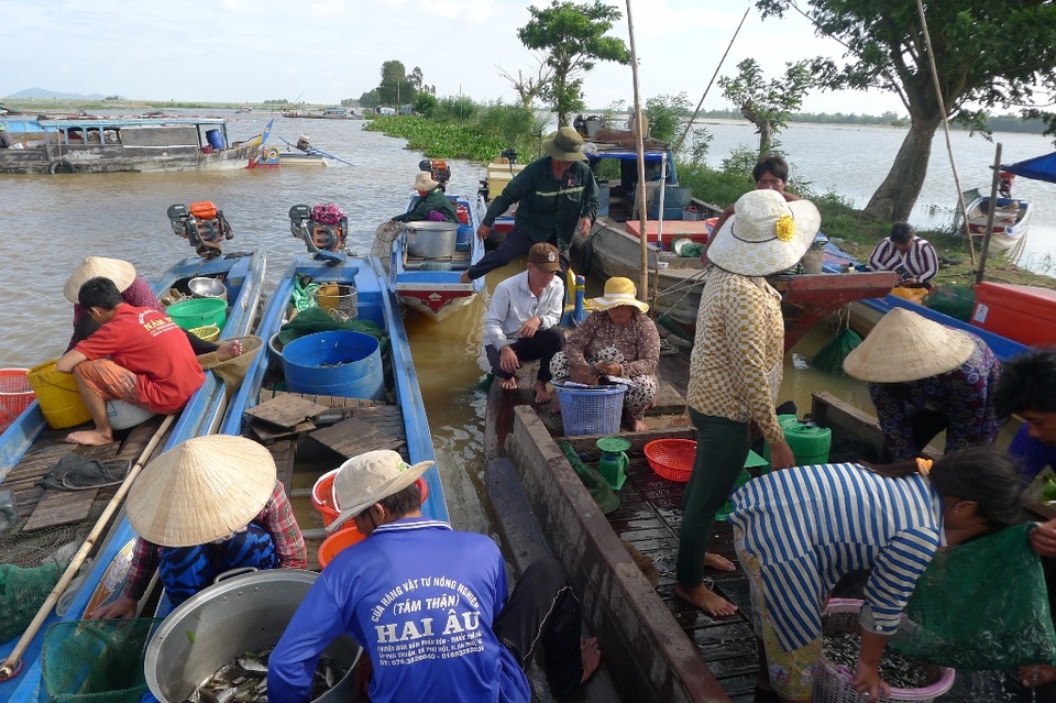 Chộn rộn chợ cá đồng... mùa nước nổi - 5 Buổi chợ bắt đầu rôm rả...