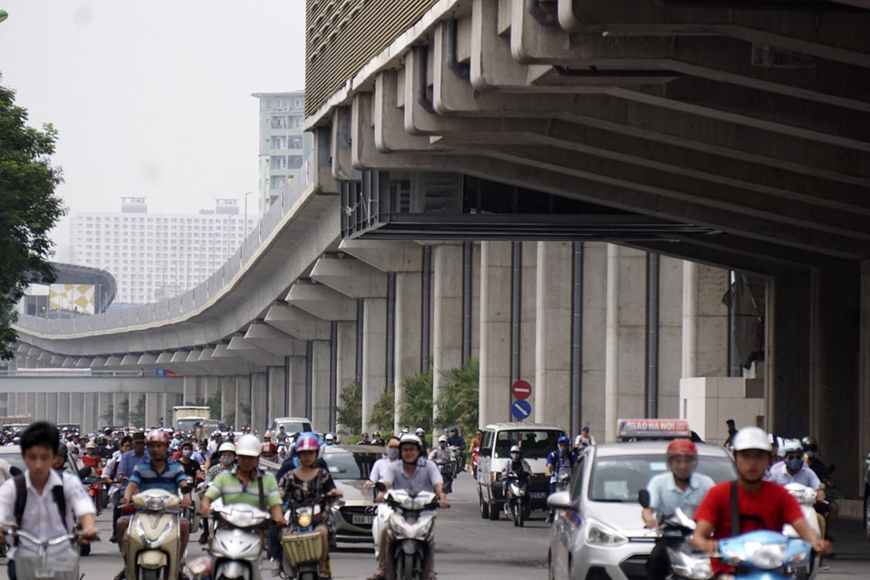 
Những cây cau cảnh mới trồng, thấp thoáng bóng lá dưới gầm đường sắt trên cao.
