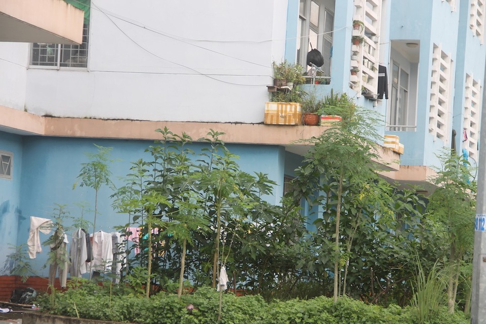 TPHCM: Dân tháo chạy khỏi... khu nhà ở tái định cư - 9 Ở một số block chỉ có được vài hộ dân vào sinh sống
