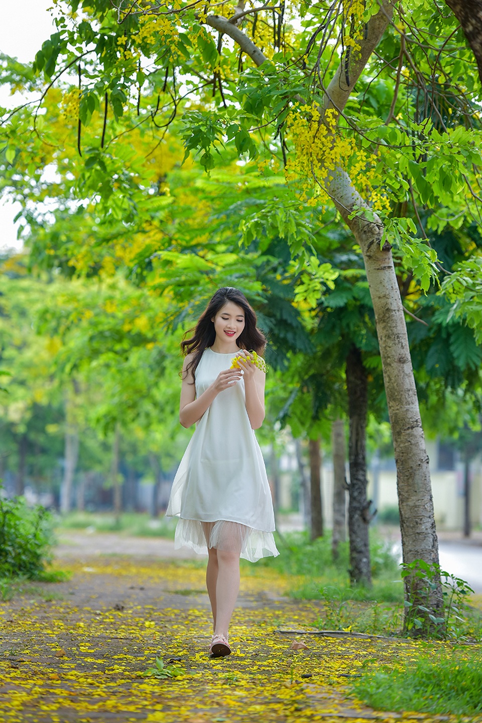 Nữ sinh cao 1m79 duyên dáng đọ sắc cùng muồng hoàng yến - 9 Lần này ghé thăm Hà Nội, Huyền Trang quyết định chụp một bộ ảnh với loài hoa đặc biệt ở Thu đô là muồng hoàng yến.