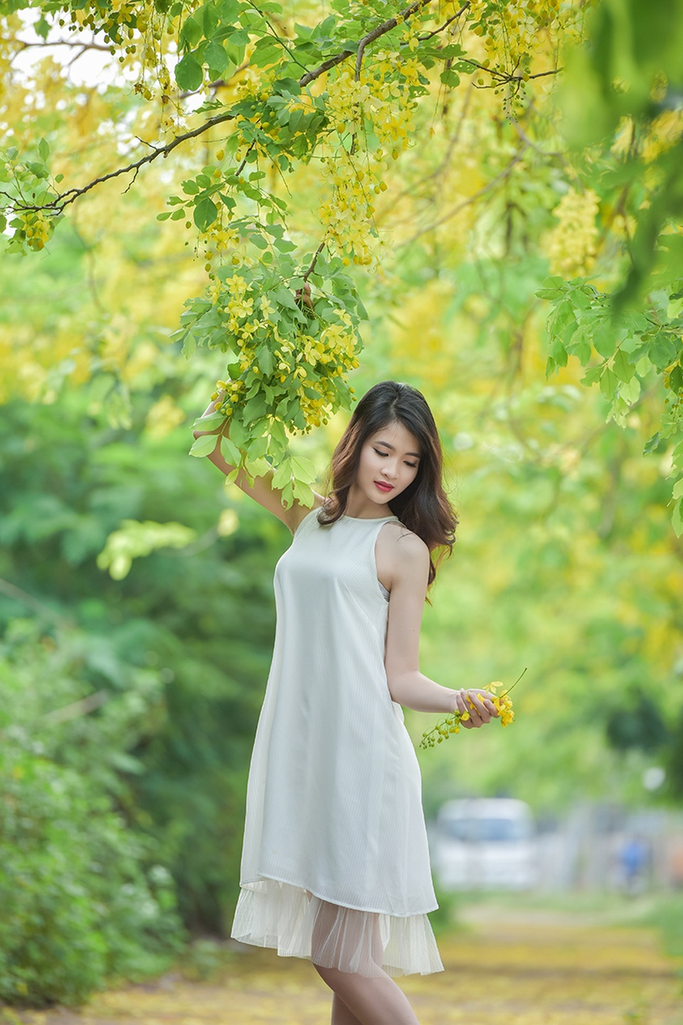 Nữ sinh cao 1m79 duyên dáng đọ sắc cùng muồng hoàng yến - 6 Trang tự nhận xét cô là người rất hòa đồng và dễ thích ứng với mọi môi trường sống.