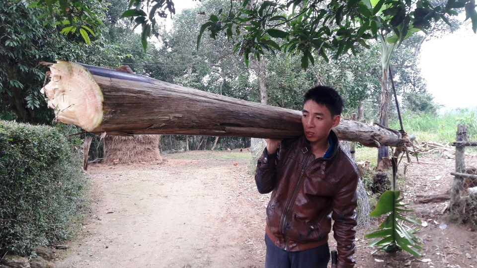 Mẹ nghèo đau đớn trước cảnh con gái 3 tuổi mắc bệnh ung thư máu - 11 Ngoài chăm con, ông bà, hằng ngày Thái còn phải làm thêm như thái rau nuôi lợn, nuôi gà ...