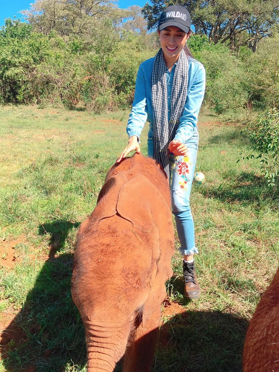 Dù trời nắng gay gắt, Lệ Hằng vẫn háo hừng khám phá vườn quốc gia Amboseli để thăm các chú voi và các động vật hoang dã khác như: ngựa vằn, linh dương đầu bò, dê rừng, hươu cao cổ, linh cẩu...