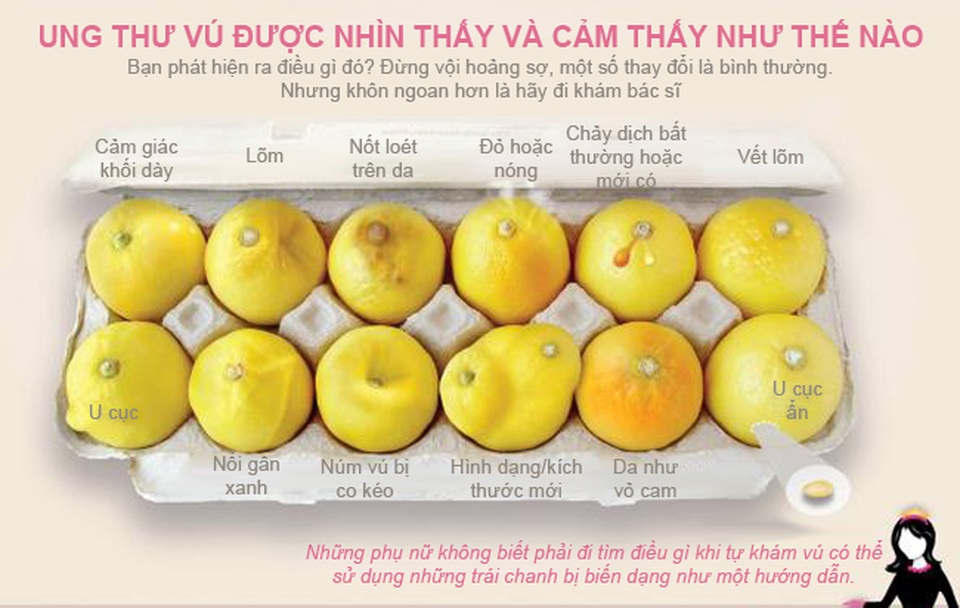Tìm hiểu về ung thư vú qua… trái chanh - 1
Ảnh: Ngọc Diệp
