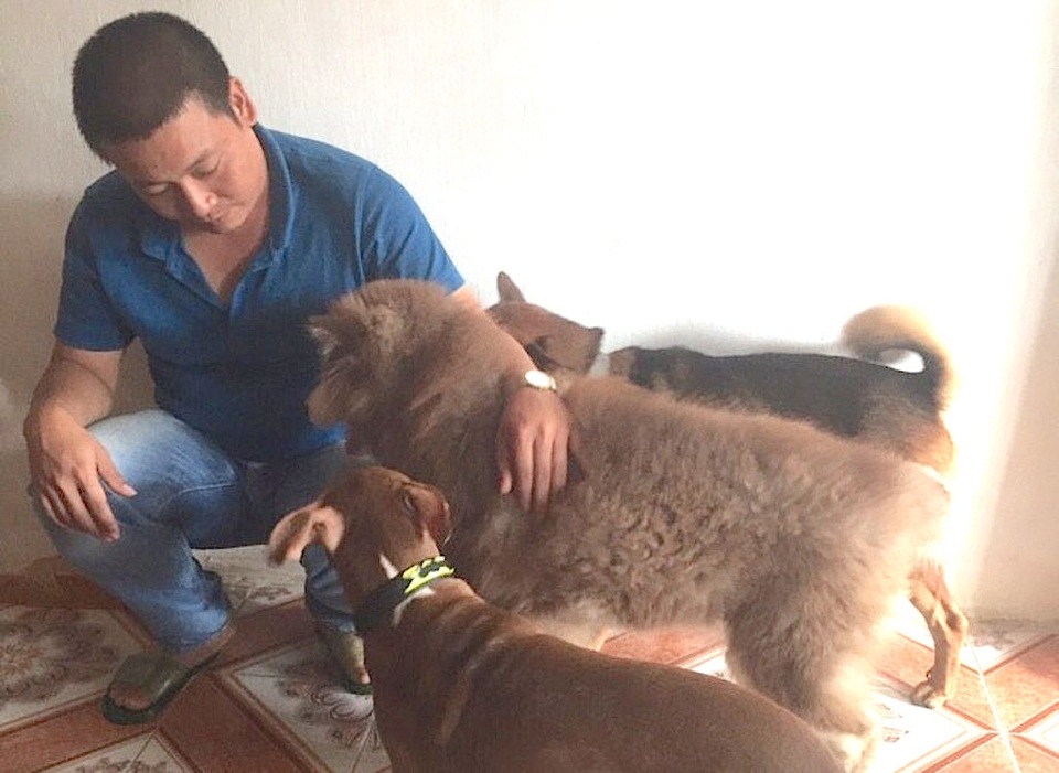 Từ lâu cả hai vợ chồng anh Duyên đã yêu mến và quý các loài chó nên thường xuyên nhập các loại chó cảnh đắt tiền từ nước ngoài về để nuôi…