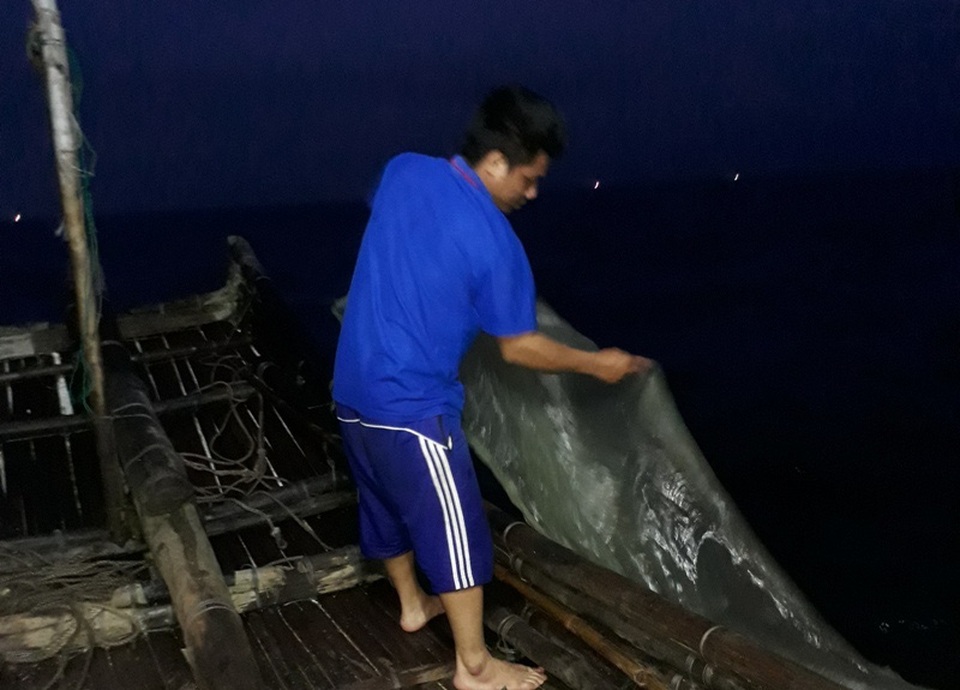 Ngư dân đi đánh bắt tôm tít thường ra khơi từ rạng sáng