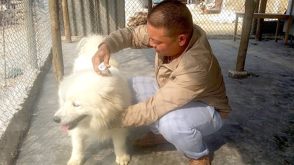 … Cắt tỉa lông sạch sẽ và gọn gàng