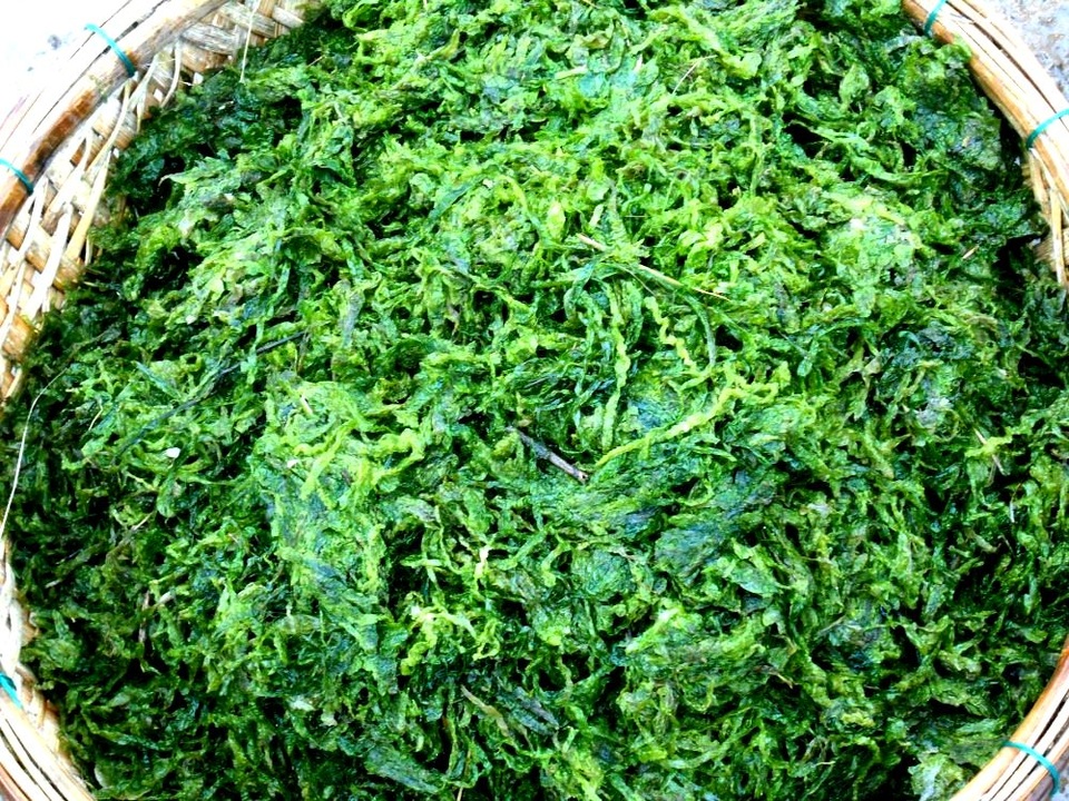 Nét hấp dẫn riêng của những làng nghề truyền thống ở Hội An - 10 Làng rau nổi tiếng từ lâu với nhiều sản phẩm rau được trồng trên đất đai màu mỡ, bón bằng loại rong lấy từ sông Cổ Cò nên có hương vị đặc trưng riêng